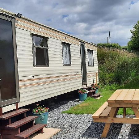 Grey Alders Carmarthen Exterior foto
